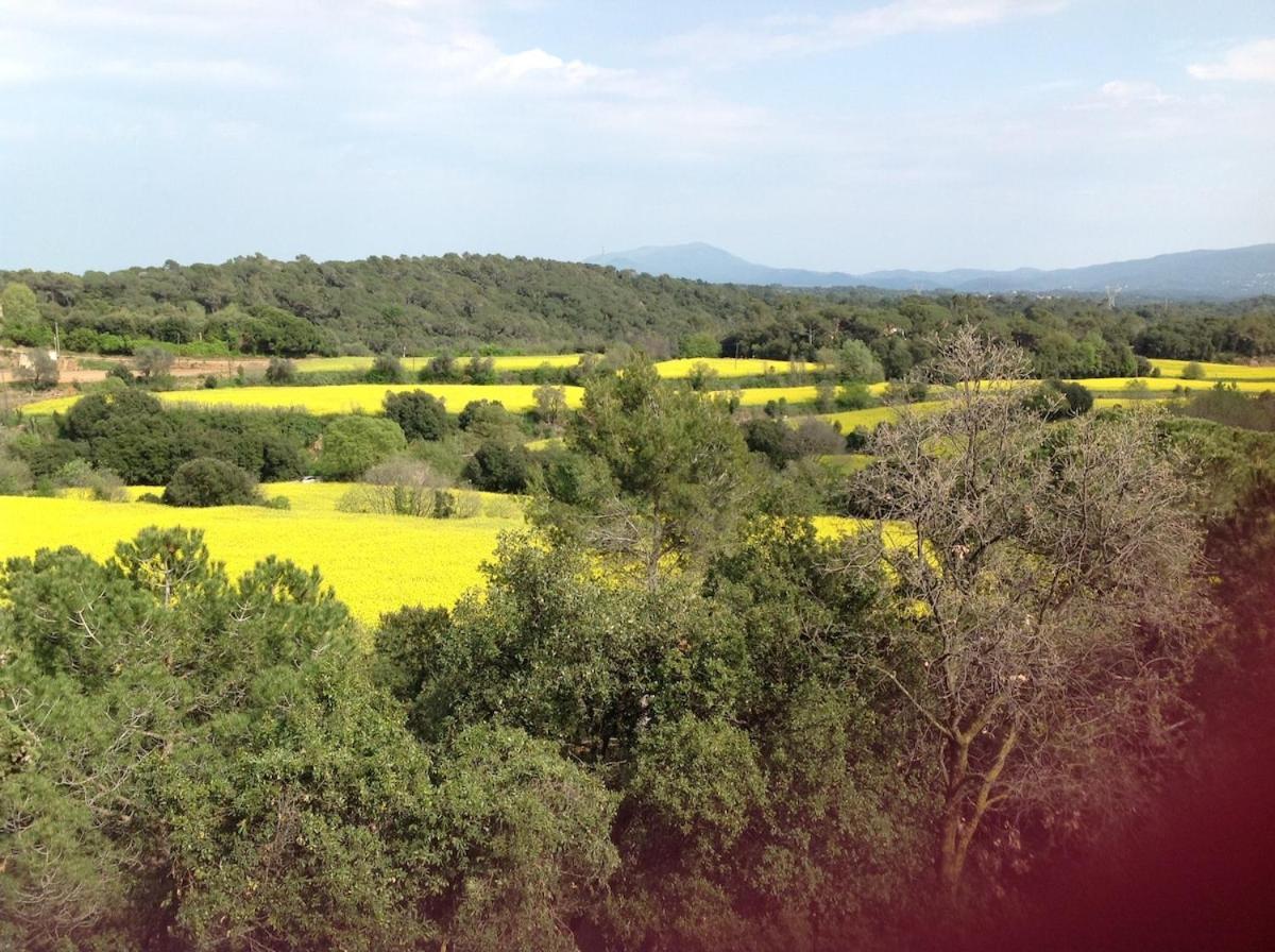 Casa Rural Can Panxa Sant Pere de Vilamajor Extérieur photo